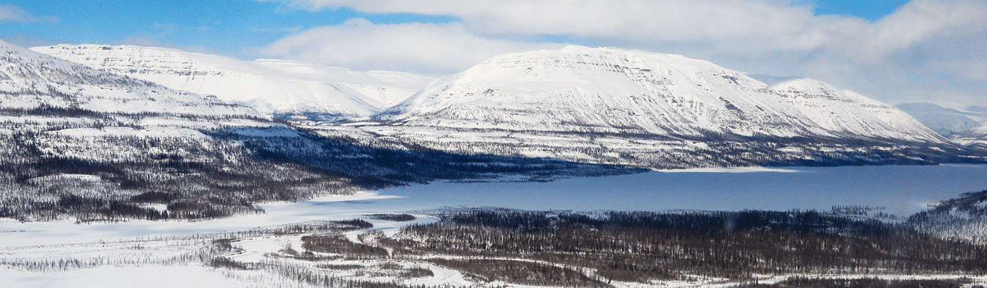 Nornickel Group’s structure